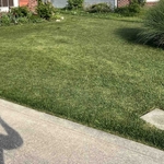 Cutting lawn