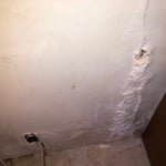 Damaged by refrigerator
