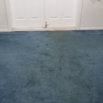 Dirty Carpets