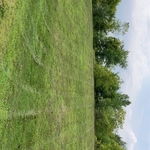 a steeper hill that still looks appealing