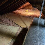 Vermiculite Removal