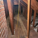 Vermiculite Removal