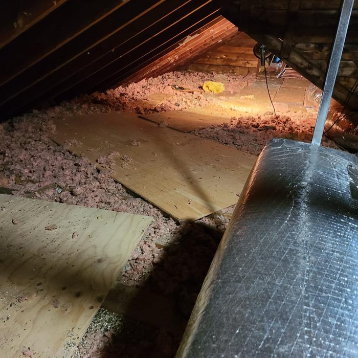 Vermiculite Removal
