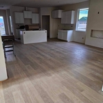 Flooring and Cabinets