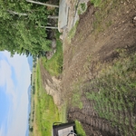 Utility Trench
