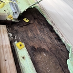 Water Damage under Door sill