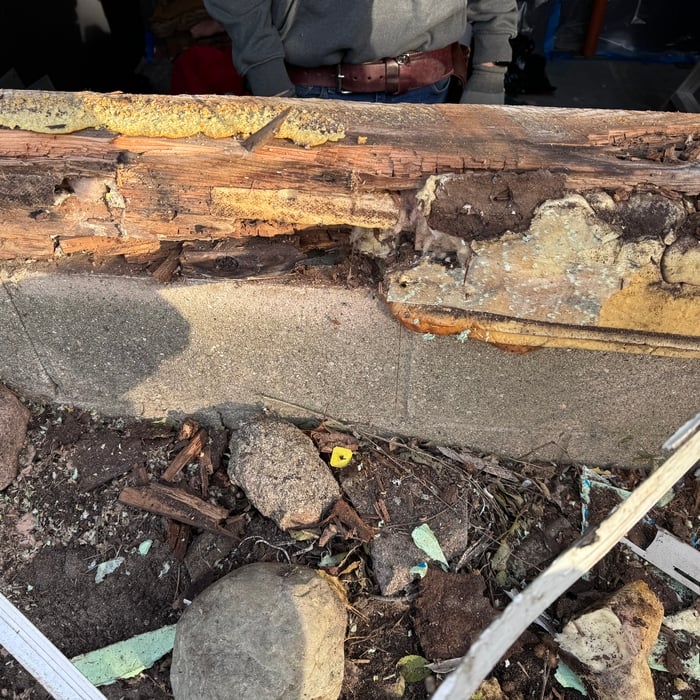 Sill plate rotted due to incorrect flashing