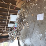 During the clean