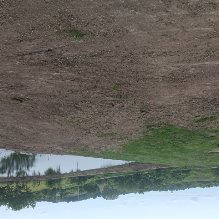 Final Grade on Dirt Work 