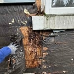 Dry Rot & Siding Repair