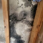 Kitchen water leak