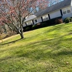 Fall Clean-Up