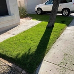 Lawn Service