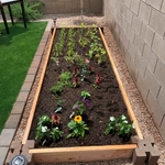 Raised Bed Installation