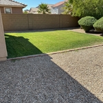 Summer bermuda grass.