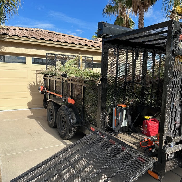 Trailer load of palm trimmings