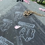 Roof Replacement