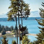 Tree Removal Services