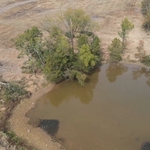 Selective Land Clearing