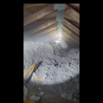 Termite Preventative