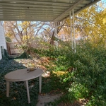 Yard Clean-Up