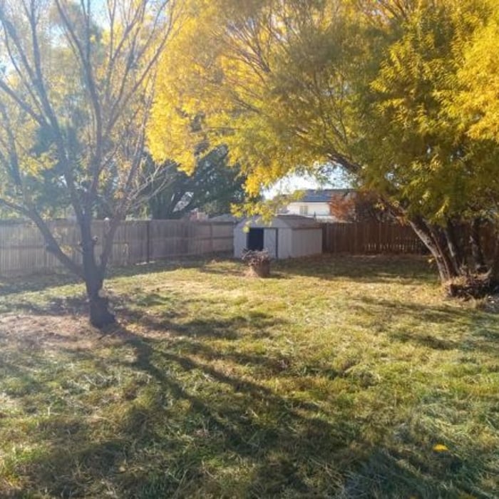 Yard Clean-Up
