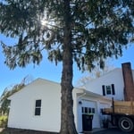 Tree Job in Galax