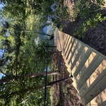 Photo showing Pressure Treated stairs with aluminum cable railing.