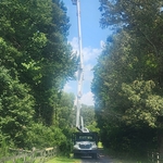 Tree Work!