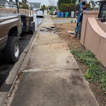 City Sidewalk Repair