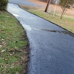 Paving & Tree Servicing