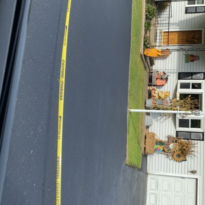 Paving & Tree Servicing