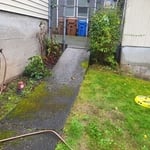 pressure washed walkway