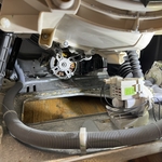 Drain pump, shock, motor