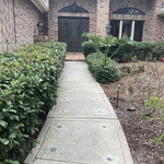 sidewalk