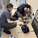 Dead animal removal .