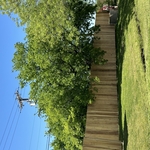 My Project