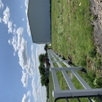 My Project