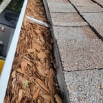 Gutter Cleaning