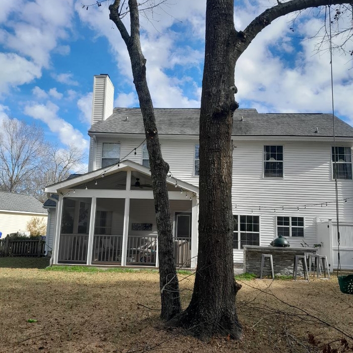 Vine Removal and cleanup