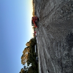 Milestones Farms
