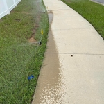 new irrigation install.