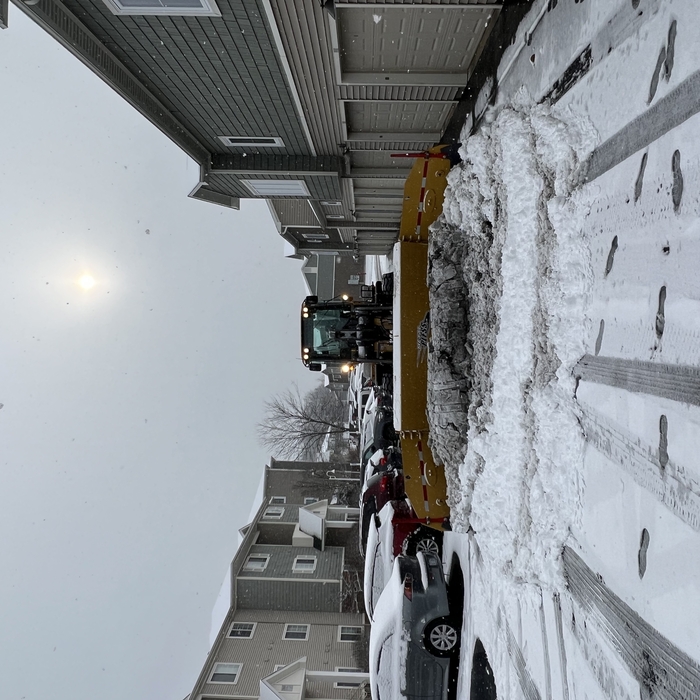 Metal pless Snow Pusher