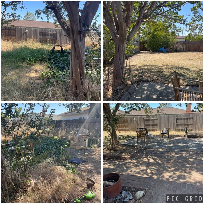 Backyard cleaning