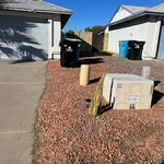 Prickly Pear Landscaping