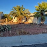 Prickly Pear Landscaping