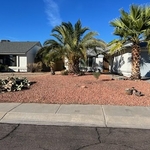 Prickly Pear Landscaping