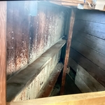 Attic Mold