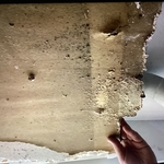 Mold Testing