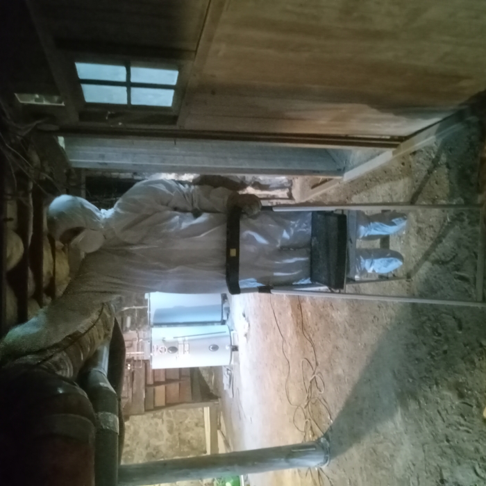 Mold Remediation